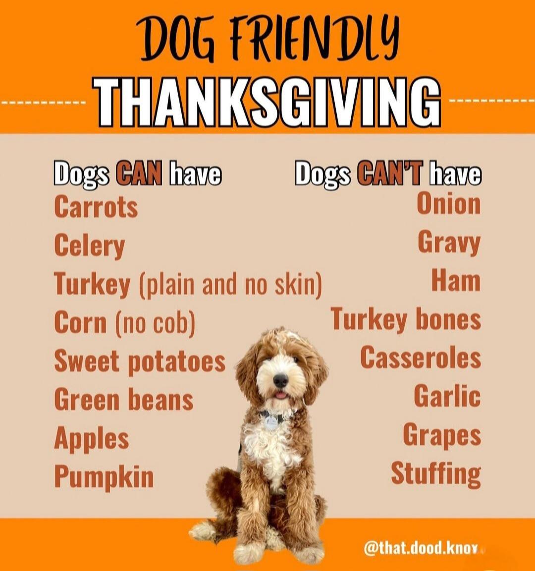 进行判断和 进行判断和