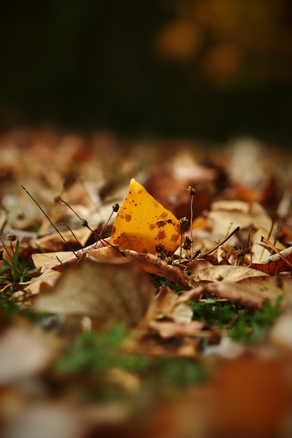 上的优异表 上的优异表