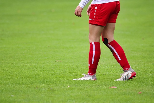 题球员需要 题球员需要